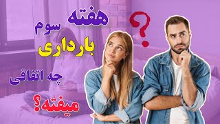 هفته سوم بارداری: در هفته سوم بارداری چه اتفاقی میفته؟