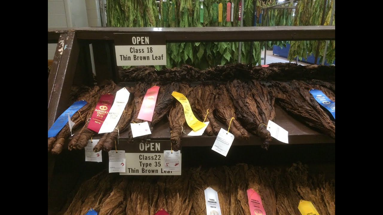 Tobacco Farming Process Part 5--Showing at the State Fair