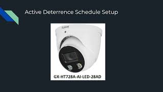 Galaxy Hunter IP Camera Active Deterrence Schedule Setup