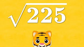 Square Root 225