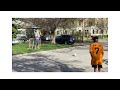 Penalty shootout with mason and Griffin!
