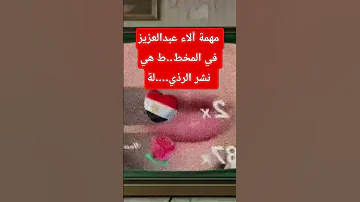 المخطط أكبر مما تتخيلون مروة مبارك تكشف طرف الخيط فقط وتؤكد مهمة آلاء عبدالعزيز هي البداية 