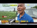 豪雨重創農民心血！ 農糧署：各縣市損失合計約318萬@newsebc