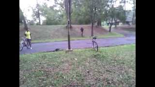 Down Hill Gunung Dubs