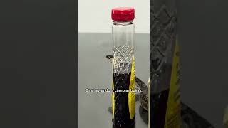 #pythonregius #snake #reptiles #serpientes