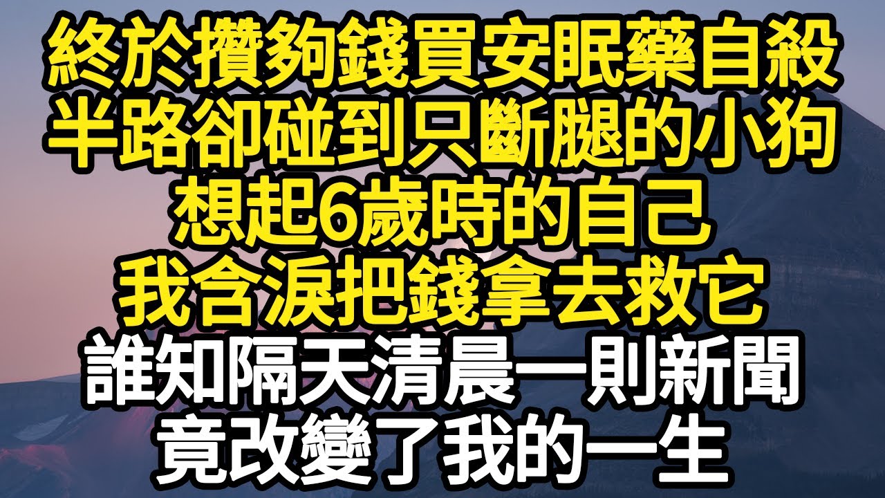 終於攢夠錢買安眠藥自殺，半路卻碰到只斷腿的小狗，想起6歲時的自己，我含淚把錢拿去救它，誰知隔天清晨一則新聞，竟改變了我的一生 #故事#悬疑#人性#刑事#人生故事#生活哲學#為人哲學