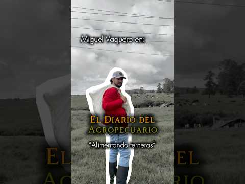 El Diario del agropecuario: Alimentando terneras