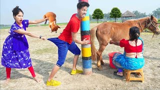 Trending Very Special Funny Comedy Video 😂 Amazing Comedy Video 2026 Episode 206 Busy Fun Ltd