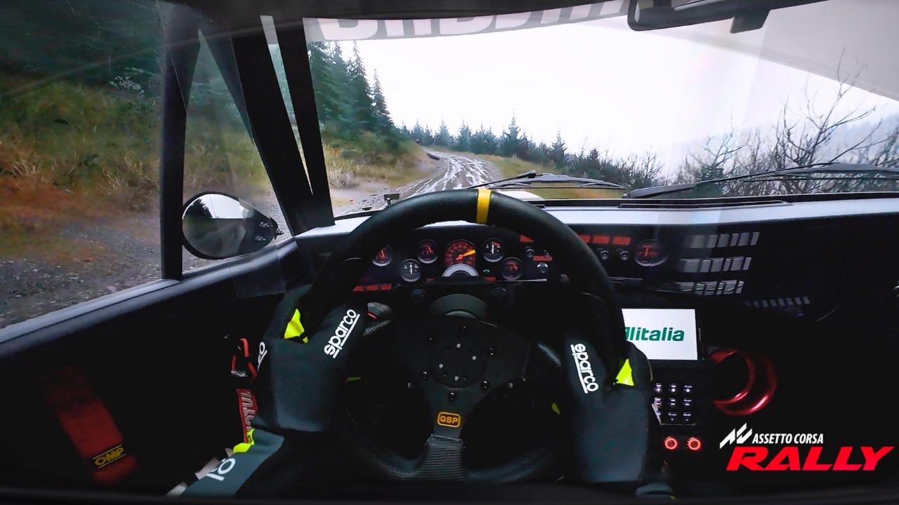 ULTRA REALISTIC Assetto Corsa Rally - No HUD - YouTube