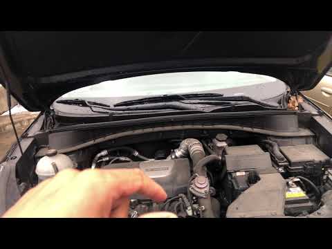 Hyundai brake fluid
