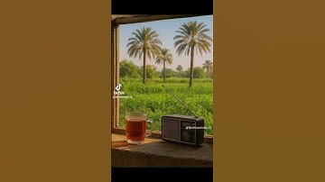 تلاوة هادئة بصوت الشيخ محمد صديق المنشاوي