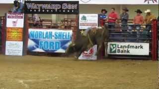 Celebrity 1-1 Western Way Josh Faircloth West Plains PBR Wealth