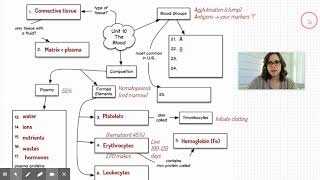 Unit 10: Concept Map