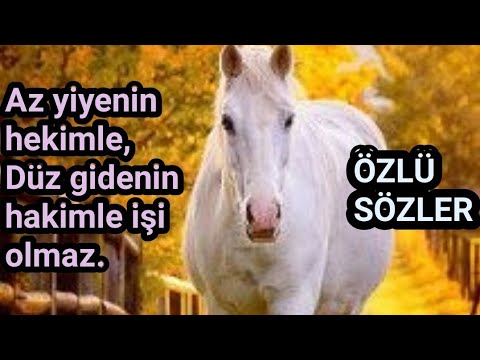 Dini Sözler🌹Etkileyici Sözler🌹 Anlamlı Sözler🌹Düşündüren Sözler🌹Durum Sözleri