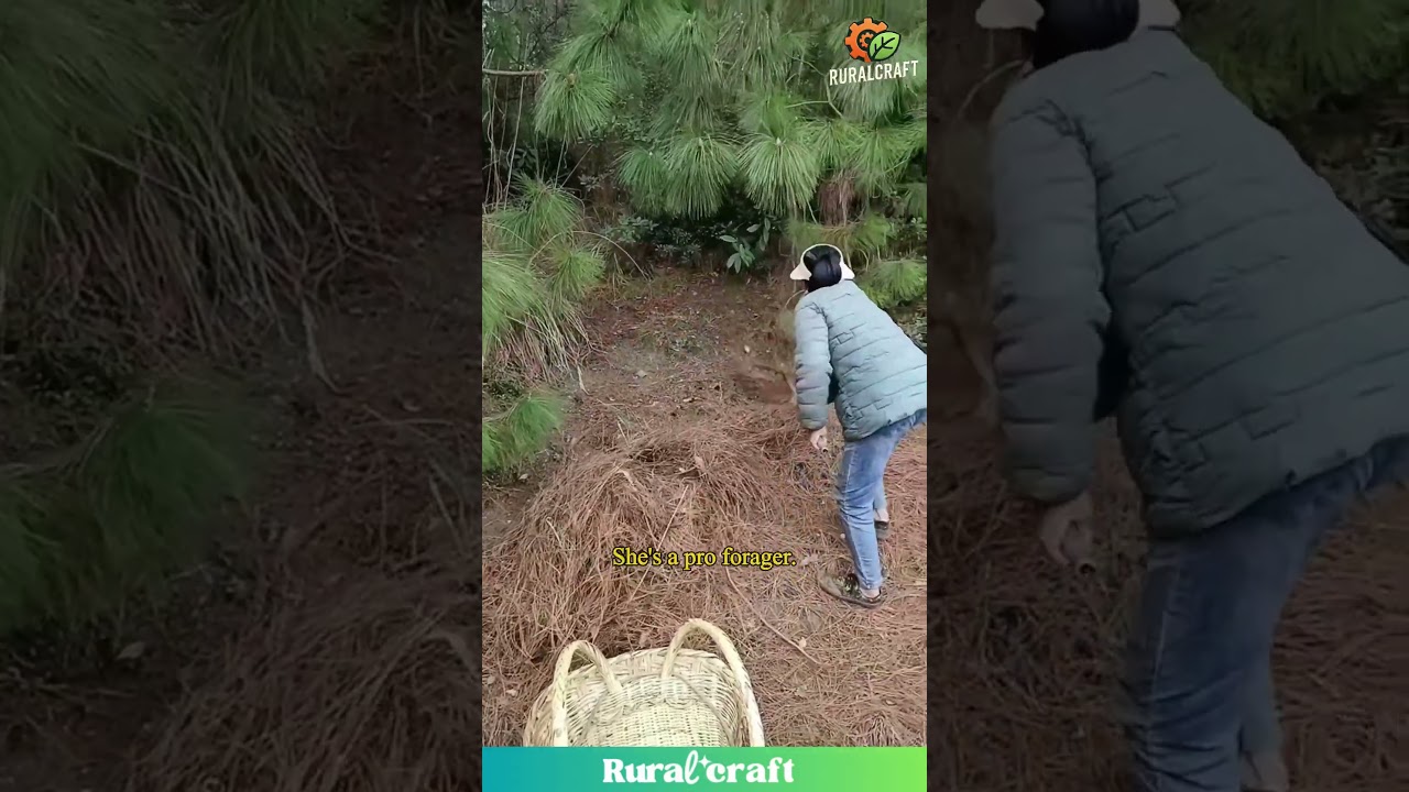 Pine Needle Hustle: This is How You Do It 