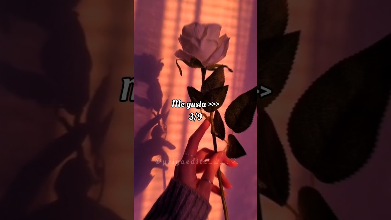 Do you know these spanish songs 💗✨.