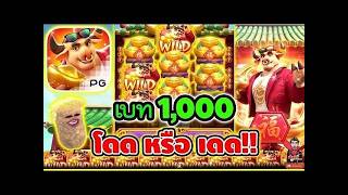 เฮียริช สวิตเซอร์แลนด์ X สตีม ► เบท 1000 โดด หรือ เดด !! Fortune Ox   PG