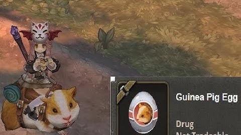 TREE OF SAVIOR Mage Tower GUILD DUNGEON (Awakening GUILD)