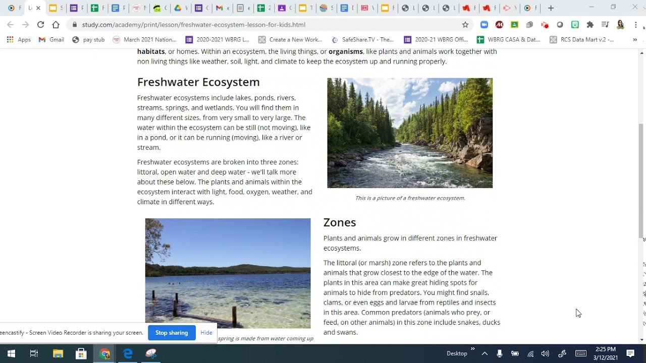 Freshwater Ecosystems