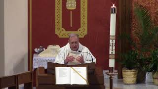 Fourth Sunday of Easter (Year B)  Deacon Vannucci