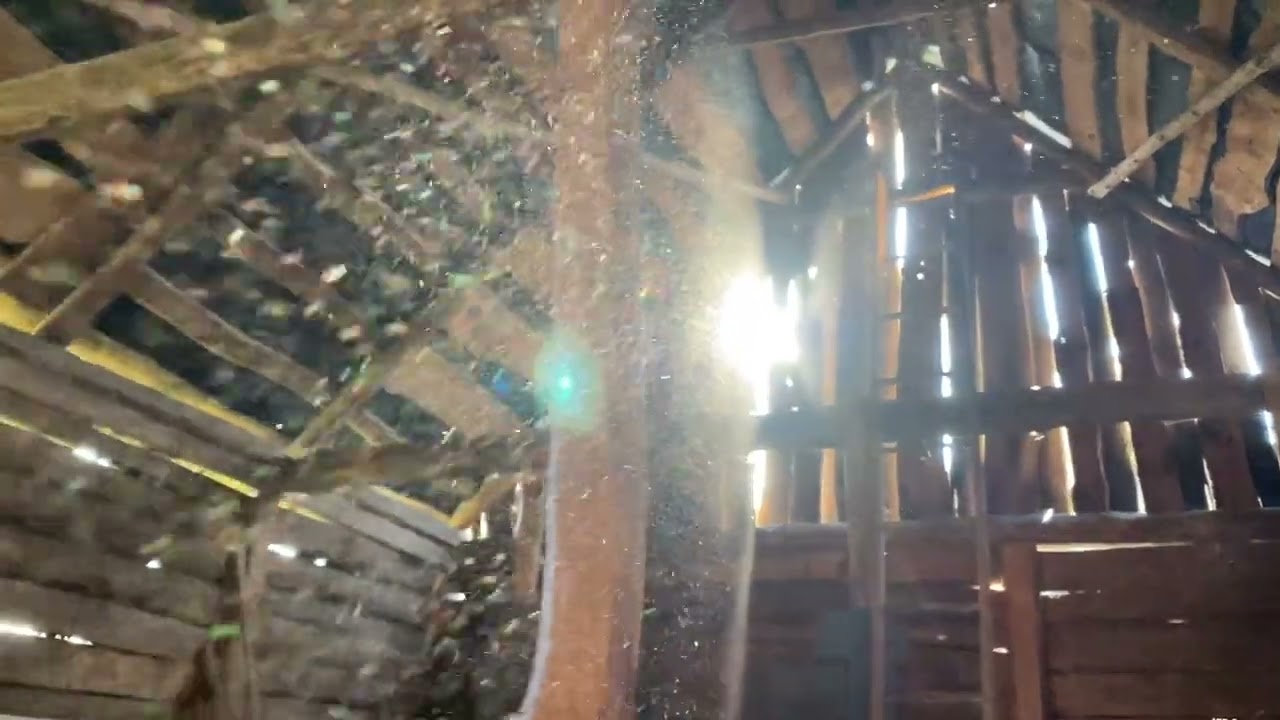 Old Polish Barn / Rainbow Dust 2