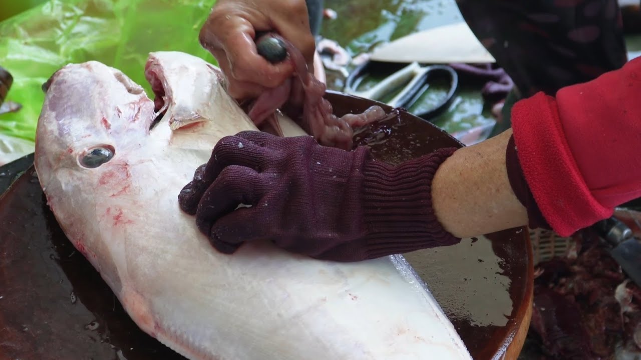 File fish cutting 🔪