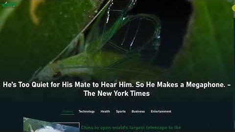 News Website using HTML, CSS and JavaScript (Demo)