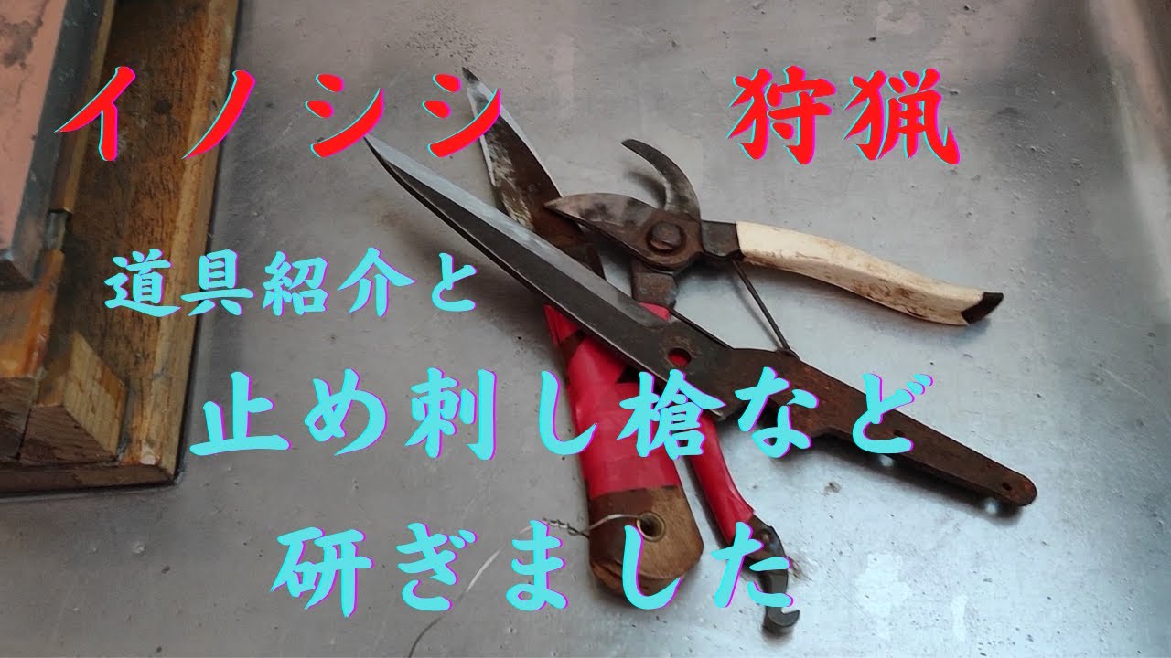 イノシシ　止め刺し槍のメンテなど