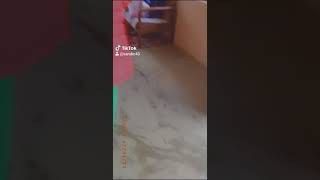 First Bhai Tika Baby Boy Ko