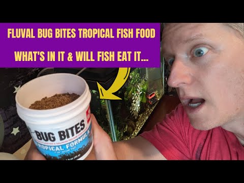 Bug Bites Tropical Fish Food Review....but do fish like it