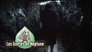 LES GROTTES DE NEPTUNE (BELGIQUE)