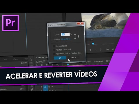 Como Controle a Velocidade de Reprodução no Premiere Pro