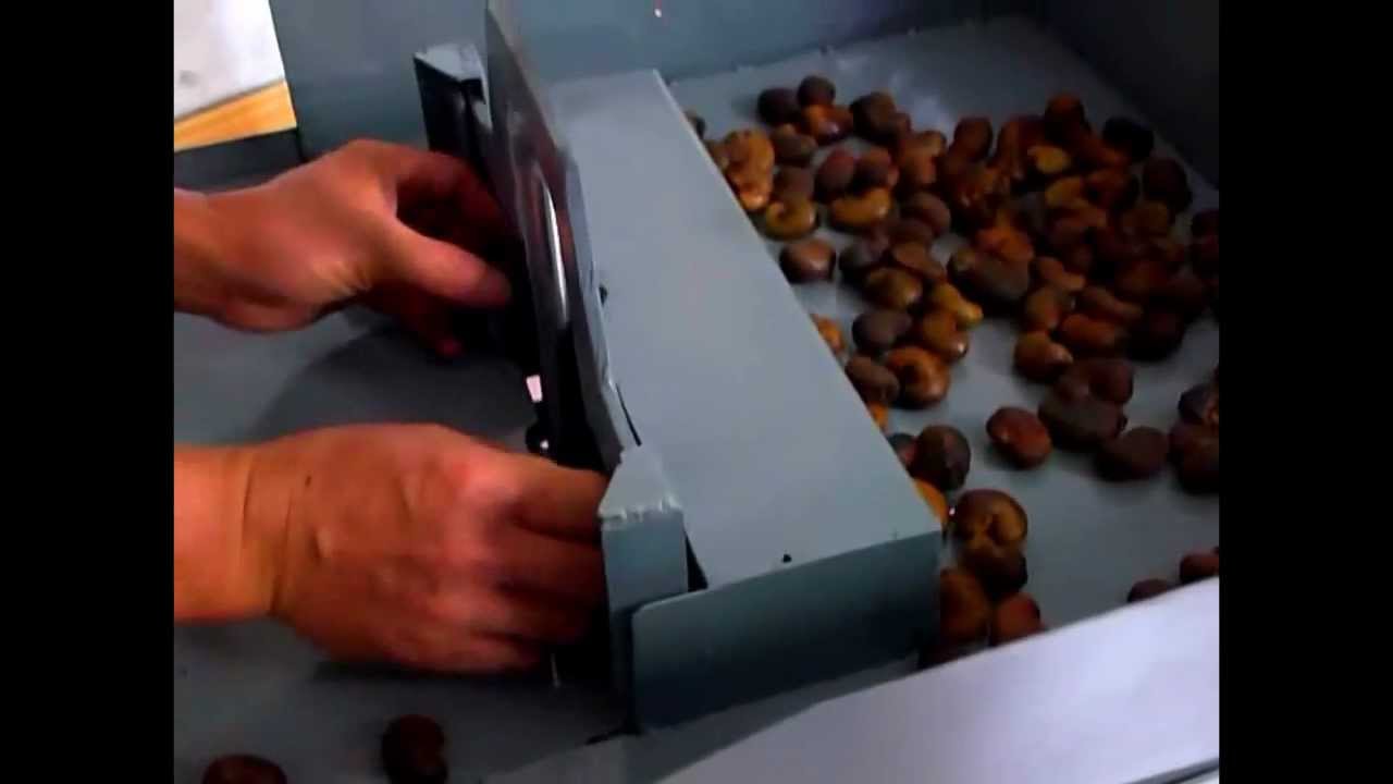 Manual Cashew Shelling Machine YouTube