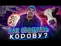 СтопХам - &quot;Как отодрать корову&quot;