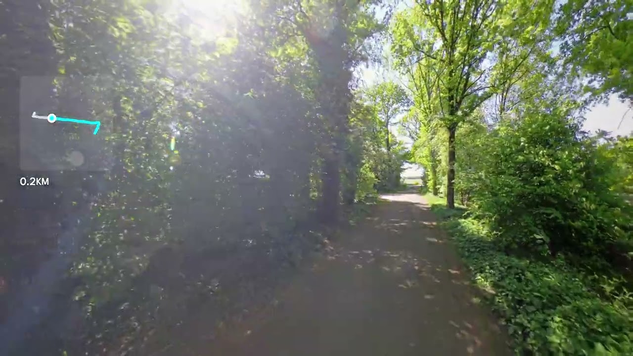 Westerbork Netherlands Nature Walk