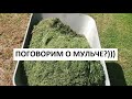 Поговорим о мульче.