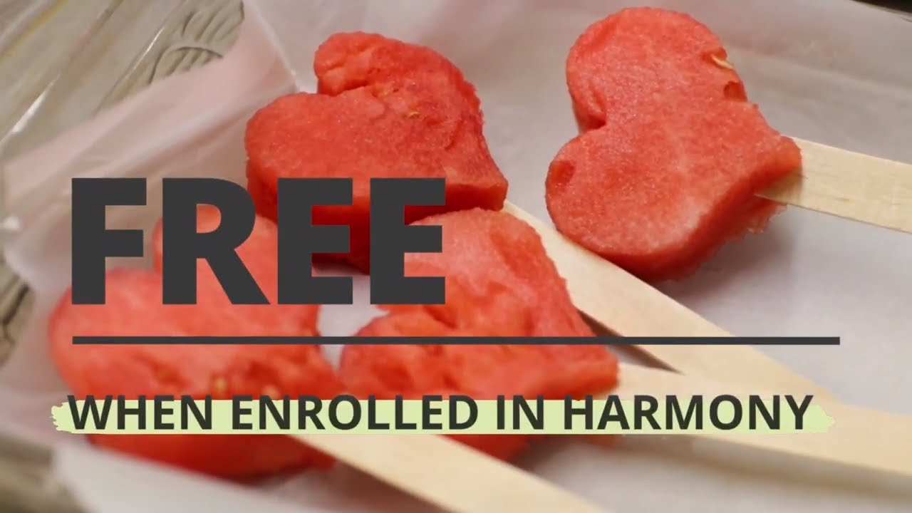 Options Day Program | Harmony Ed - YouTube