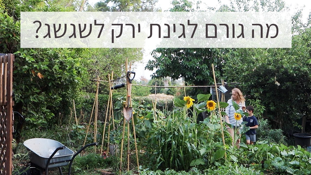 פרמקלצ׳ר || פרק שלם על אדמה וקרקע  || חרקים, פוריות האדמה קומפוסט.