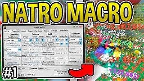EASIEST WAY TO INSTALL NATRO MACRO (OP macro) #beeswarmsimulator #natromacro