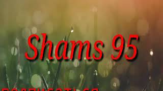 Shams 95 2019