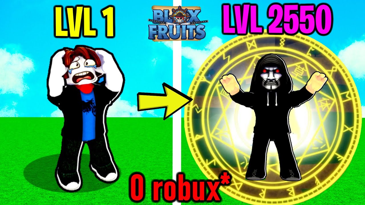 NOOB TO PRO with SECRET HACKS in BLOX FRUITS Roblox