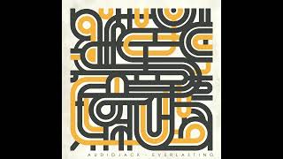 Audiojack - Post Human