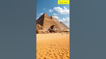 تلاوة خاشعة ❤️#المسلمين #المصحف #islamsobhi #تلاوة_خاشعة #تلاوة_قصيرة #تلاوة_هادئة #تلاوة