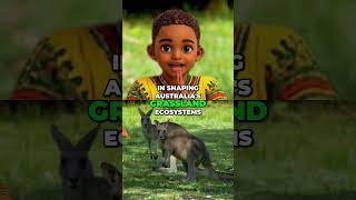 Kangaroos