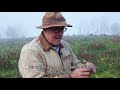 Regenerative Landwirtschaft: Der Pionier zeigt wie - mit Joel Salatin