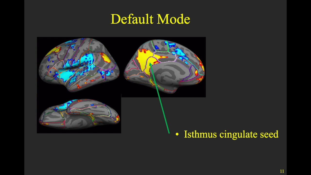 Resting State fMRI - YouTube