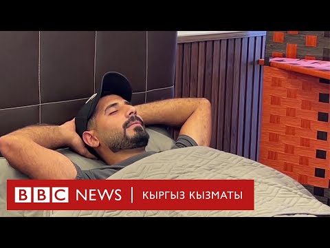 Video: Сардиниянын балы жок болуп кетүү коркунучунда: балчылардын кампаниясы