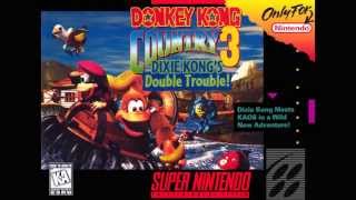 Donkey Kong Country 3 - Water World (Orchestral Arrangement)