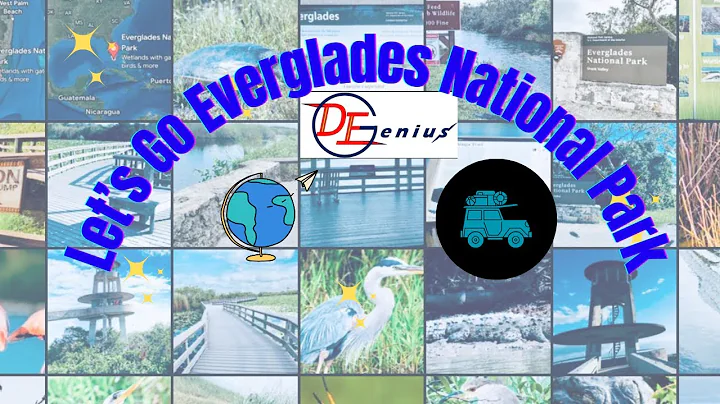 Journey Through the Untamed Beauty of Everglades National Park