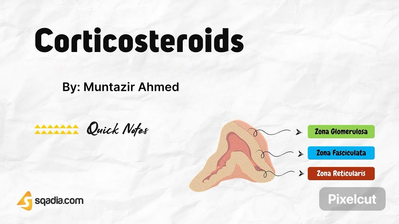 شرح فارما the corticosteroids